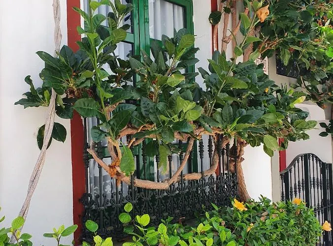 La Venecia De Canarias 4*